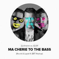 Ma Cherie To The Bass (Rocchi & Lupidi ft. BRT Mashup)