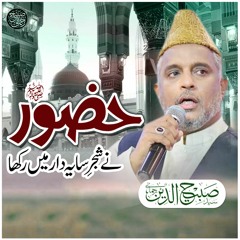 Huzoor Ne Shajar e Sayadar Mai Rakha Mujhe Bulaya Aur Apne Dayar Mai Rakha