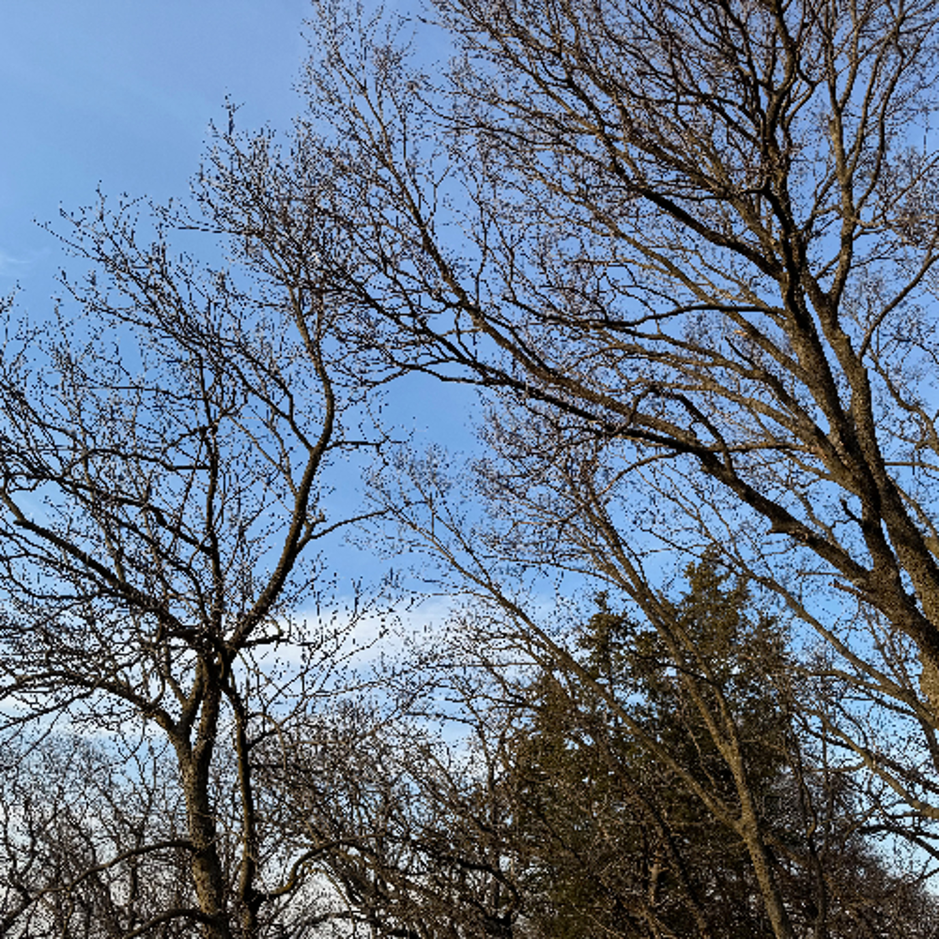 Forecast from Wednesday 4-8-26