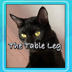 The Table Leg