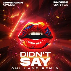 Cavanaugh Myles- Didn't Say (Chi Lane Remix)