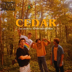 Outside (Save The Bees)