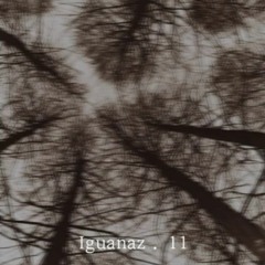 Nastyona - Iguanaz . 11
