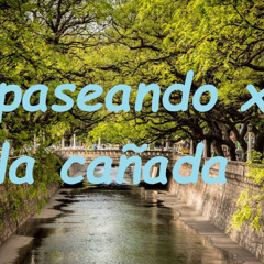 PASEANDO X LA CAÑADA