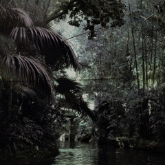 Unknown world | Deep& Raw Techno