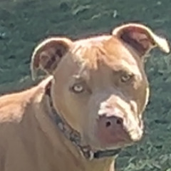 pdxkell - FROM MY CITY [Y$99]