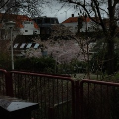 windowseat.wav 1 Hour LOOP (no click)