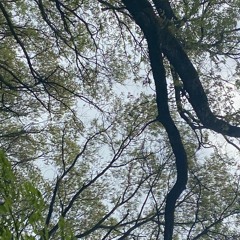 You'll be fine Prod: geloガザ