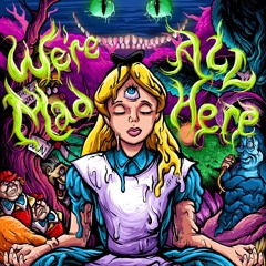 Acid In Wonderland Vol.II