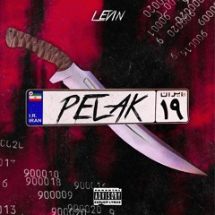 Pelak 19