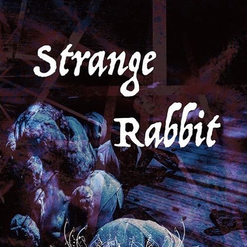 リリカ / Strange Rabbit ★サイン入り★会場限定盤★ Stream (リリカ) Lyrica - Strange Rabbit by hwslietpol3