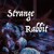 Artwork for (リリカ) Lyrica - Strange Rabbit