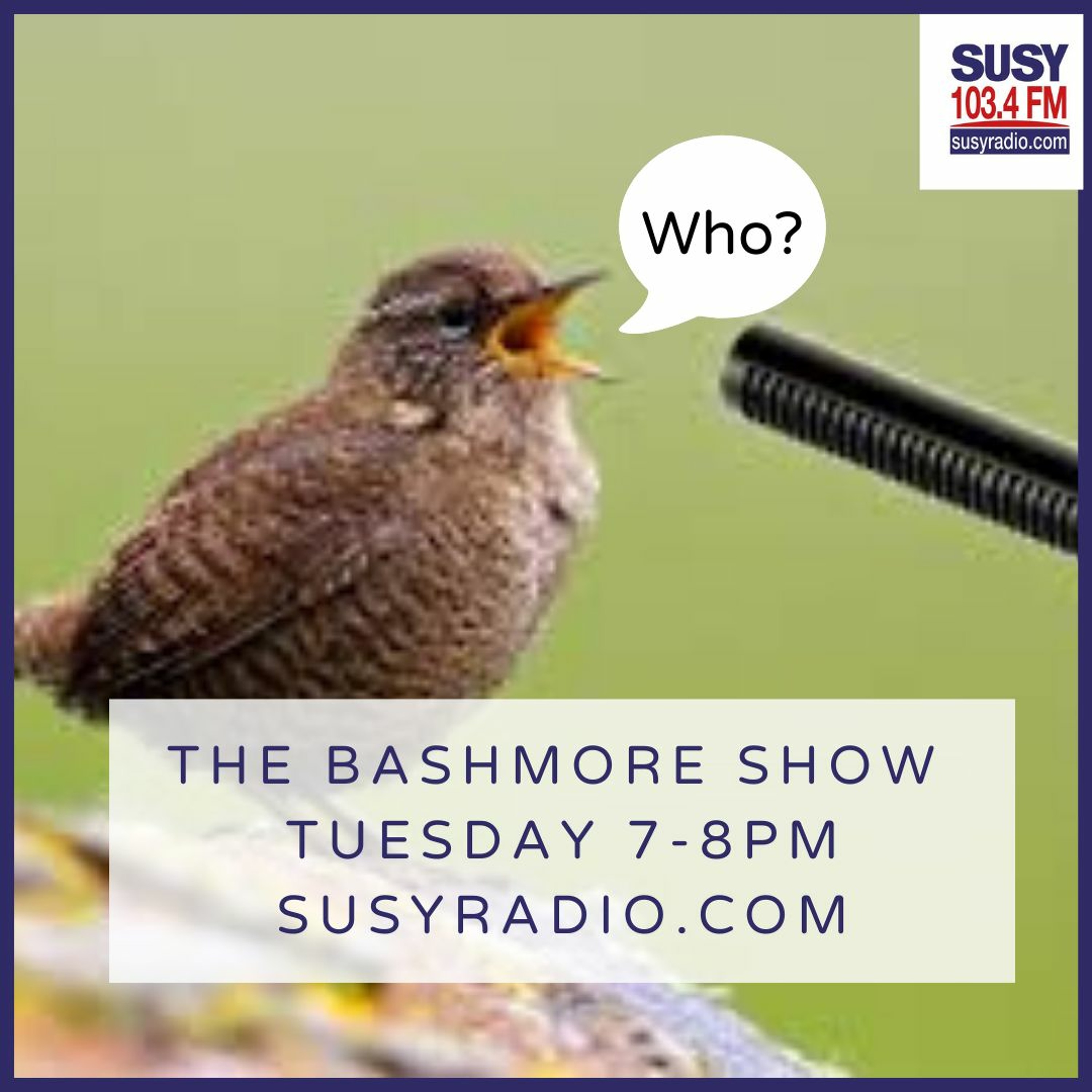 The Bashmore Show