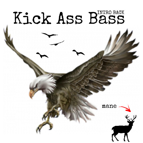 Kick Ass Bass
