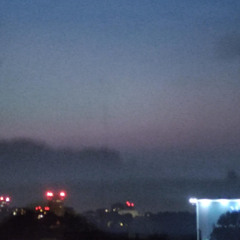 młoda surykatka - merkury w retrogradacji