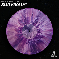 Davide Mentesana - Ice Guys