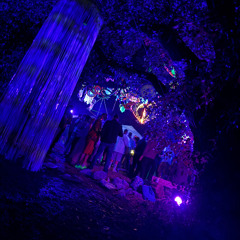 FonoFuchs @ Just Friends25 - Secret Open Air