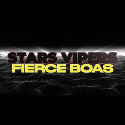 Stars Vipers Fierce Boas 2024-2025