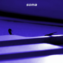 SKRILLEX, NITEPUNK - SOMA REMIX (YVSH FLIP)