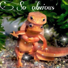 obvious - oklou (tikkoii edit) ദ്ദി(˵ •̀ ᴗ - ˵ ) ✧