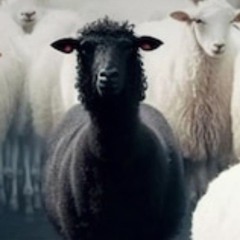 Warren - Never act like u know