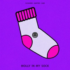 Scissors, Zantro, Cam - Molly In My Sock (Radio Mix)