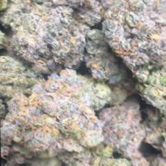 Stackpack Ft. P90Honda