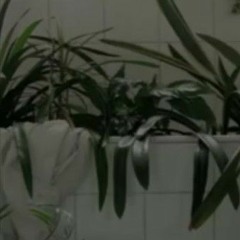 hermit the frog [slowed+reverb]