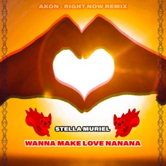 WANNA MAKE LOVE NANANA - AKON RIGHT NOW REMIX