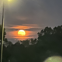 Just Keep Waiting Snippet