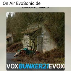 NiTsi B2B klarer_bernstein LiveMitschnitt aus dem Bunker 21 EvoSonic Radio