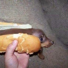 August Weekend EP - i don't have anything to prove