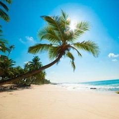 SUMMER MANDELA 🌴🥥- MCS FAHAH E SILVA ( DJ LEAL ORIGINAL ) 2k25