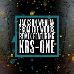 From the Woods (feat. KRS-One)[Remix]