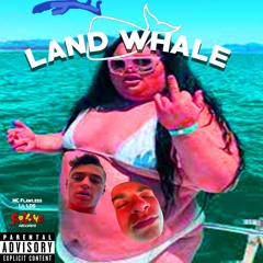 Land Whale  -  Lil LDS