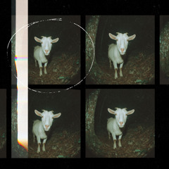 Scary Goat