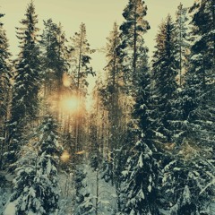 Noaidi - Trollvinter