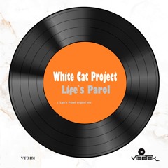Life`s Parol (original mix)