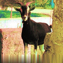 Tutmonda's Findings I Electro Acoustic Utopia #1