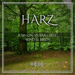NaturalPark Harz Forest Spring Water Rain Birds EarsTree Inseqt Part 1
