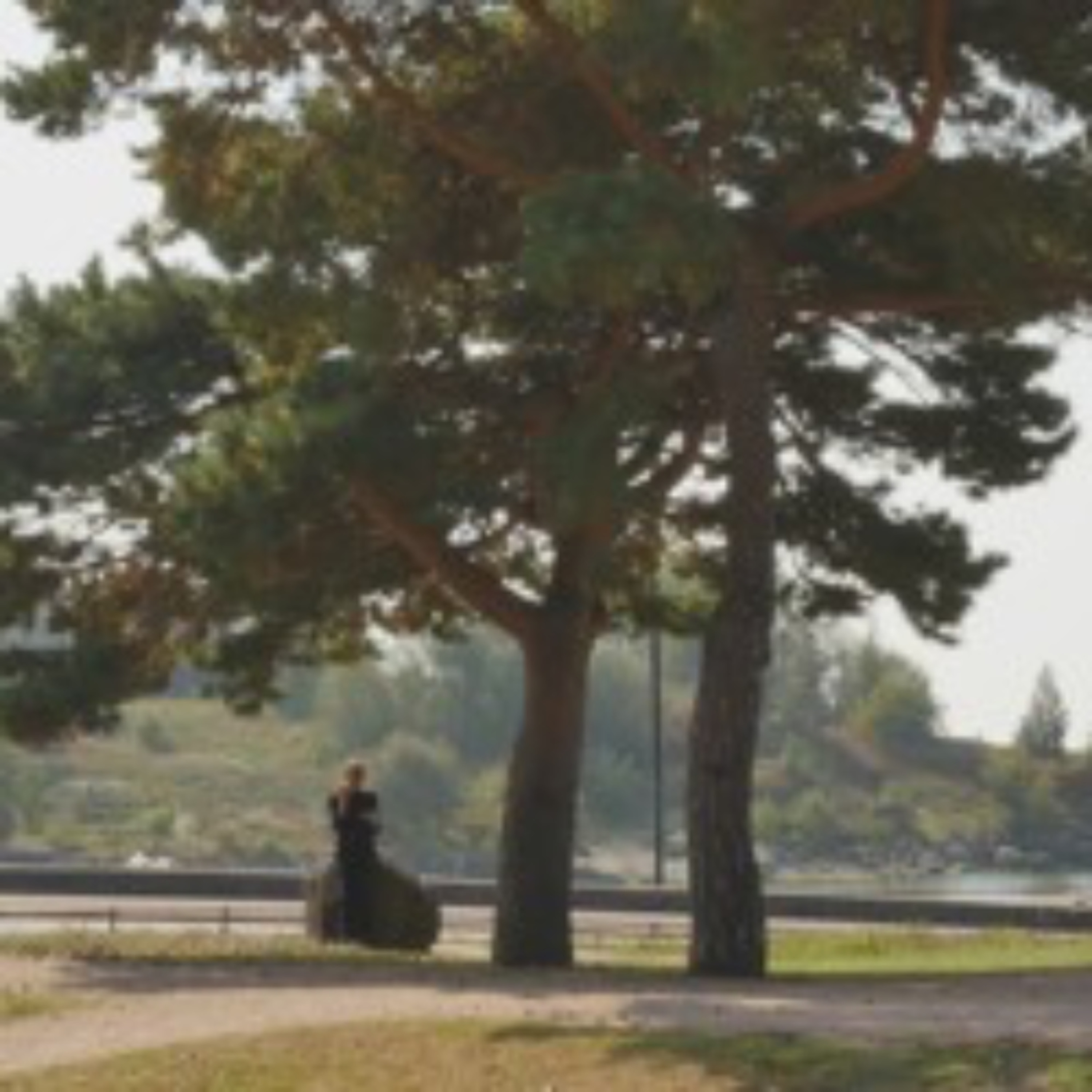 With Pines 9 - 2024 episode artwork