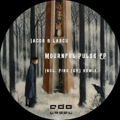 PREMIERE: Iacob - Reason and Passion (PiNG (UK) remix)