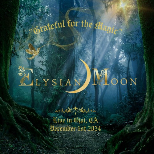 Grateful for the Magic - Live in Ojai California