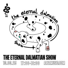 The Eternal Dalmatian Show - Aaja channel 2 - 13 03 25