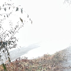 uнtitлed пlaylиst