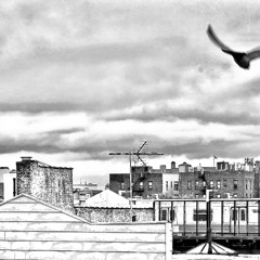 Wave Dream 2 (the deep trip)