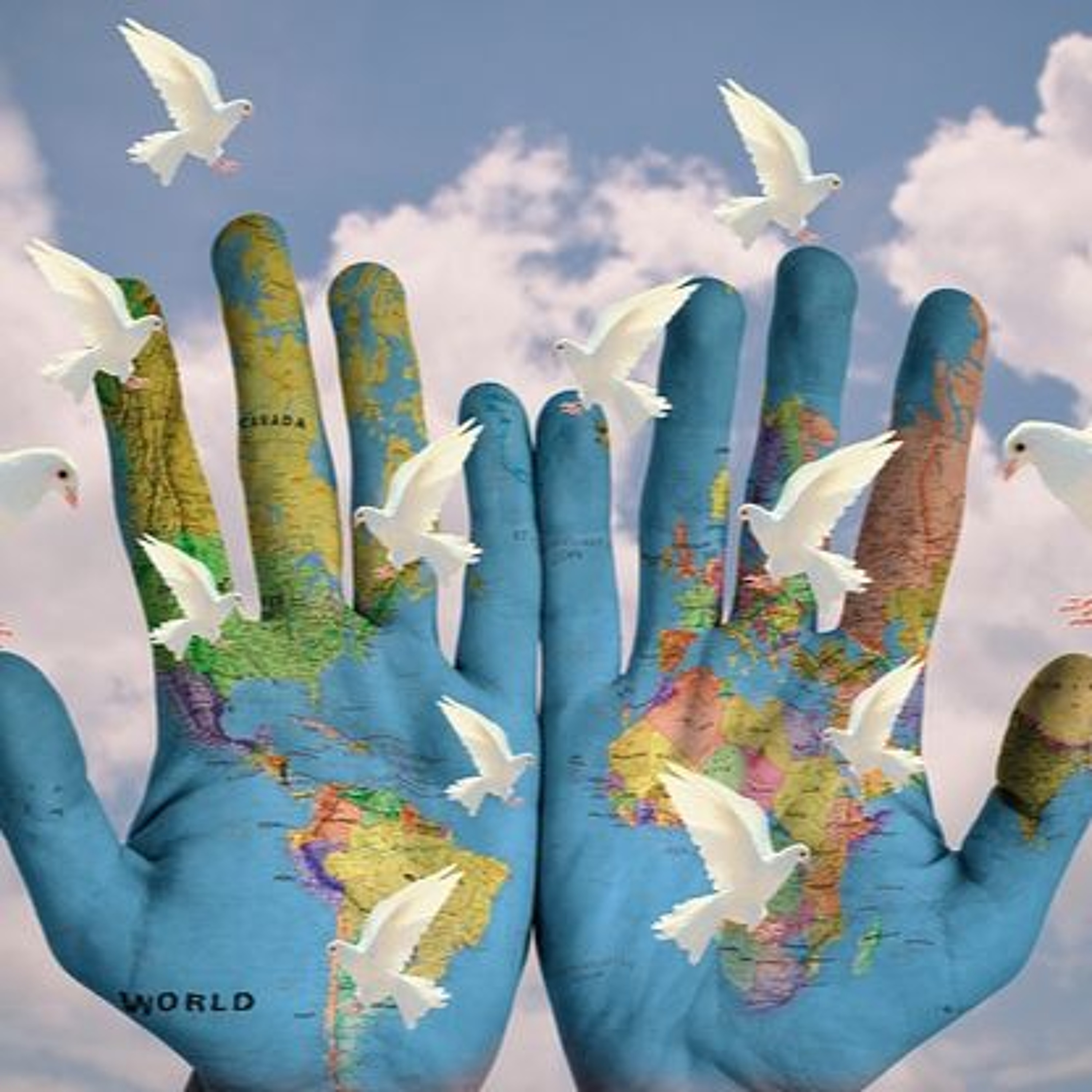 New Dawn Dawning - Pull Up a Chair