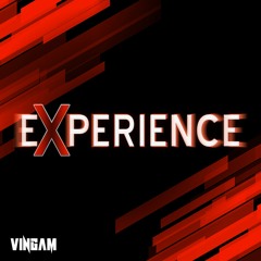 VINGAM - Experience