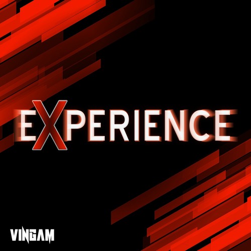 VINGAM - Experience