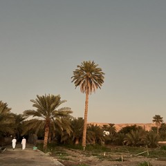 سورة النحل (طارق يوسف عرفه).m4a